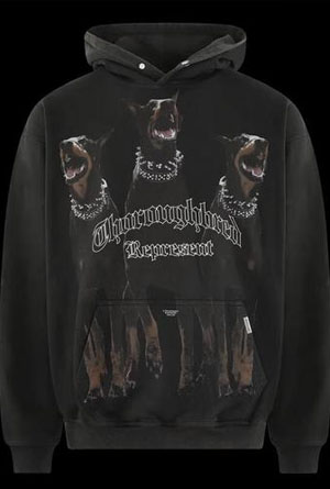 represent hoodie