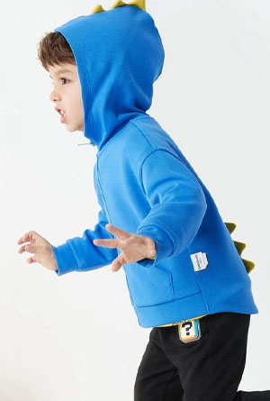 boys hoodies